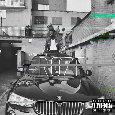 Album cover art for Froze