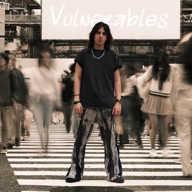 Album cover art for Vulnerables