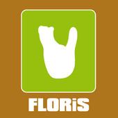 Album cover art for Floris