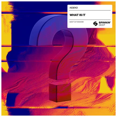 Album cover art for What Is It