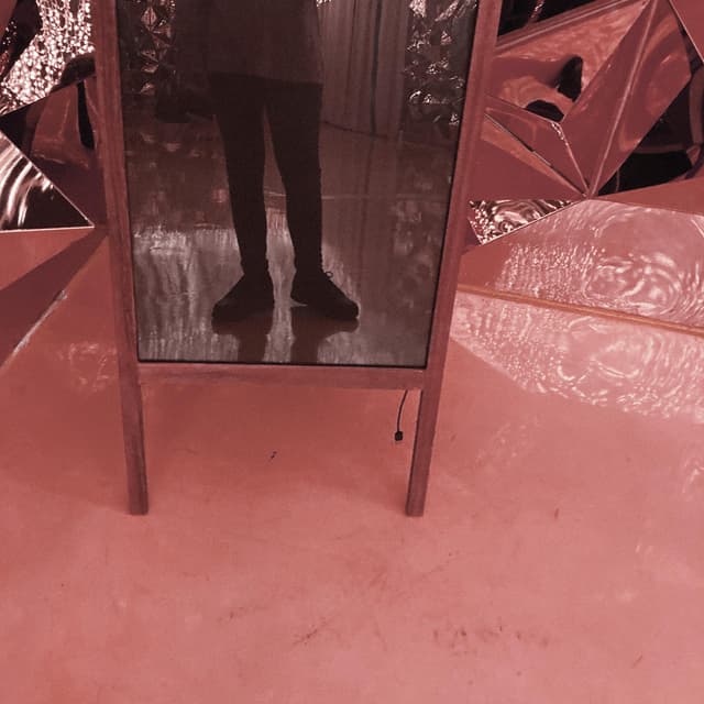 Album cover art for hydrangea