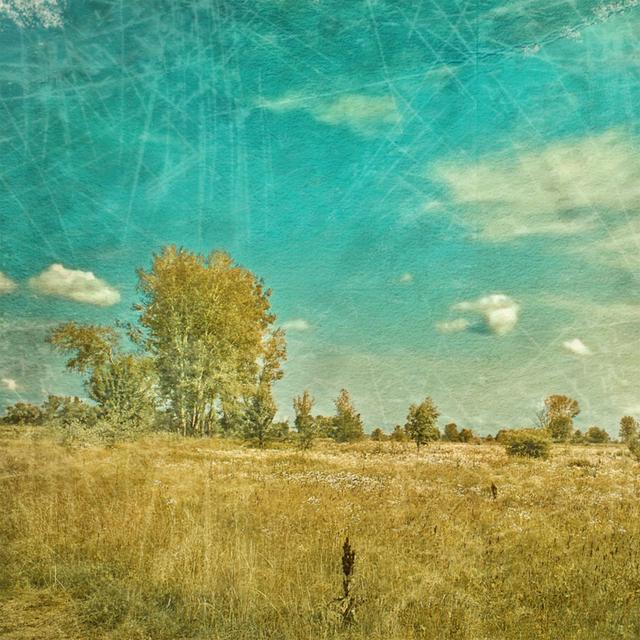 Album cover art for I Gave Everything