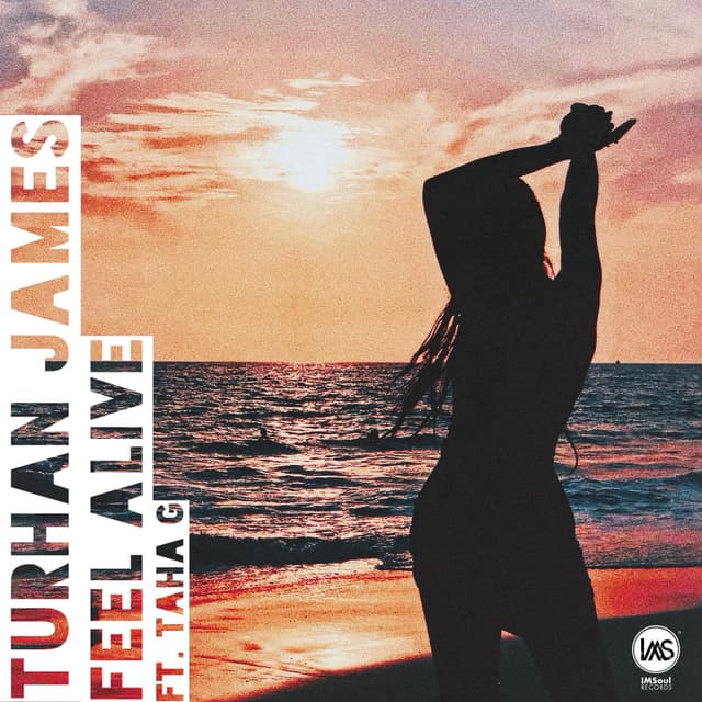 Album cover art for Feel Alive