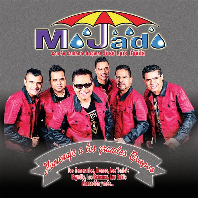 Album cover art for Homenaje a los Grandes Grupos