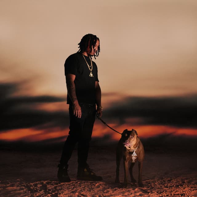 Album cover art for Solitaire