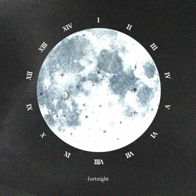 Album cover art for fortnight