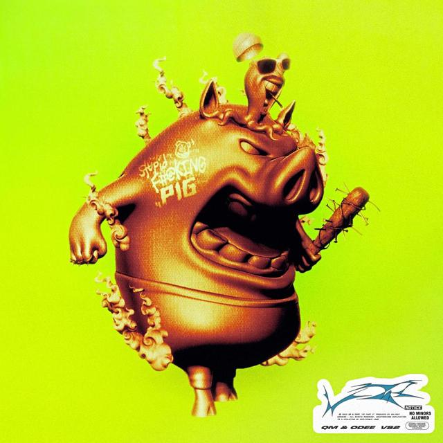 Album cover art for VS2