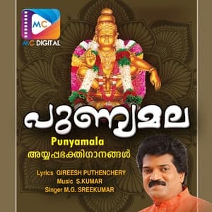 Album cover art for Punyamala