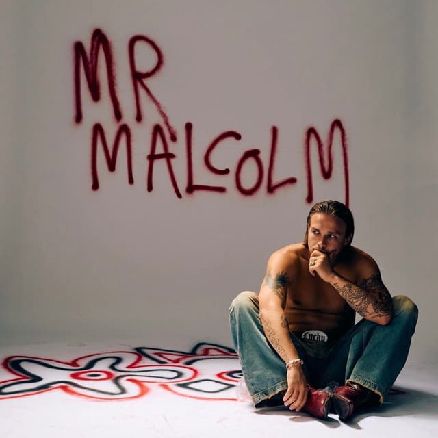 Album cover art for Mr Malcolm