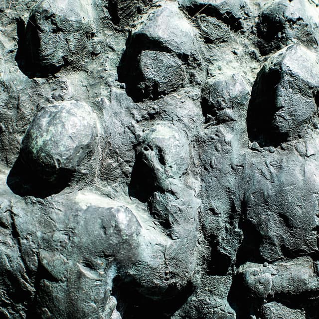 Album cover art for Fleet