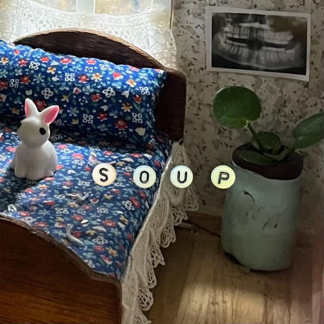 Album cover art for soup