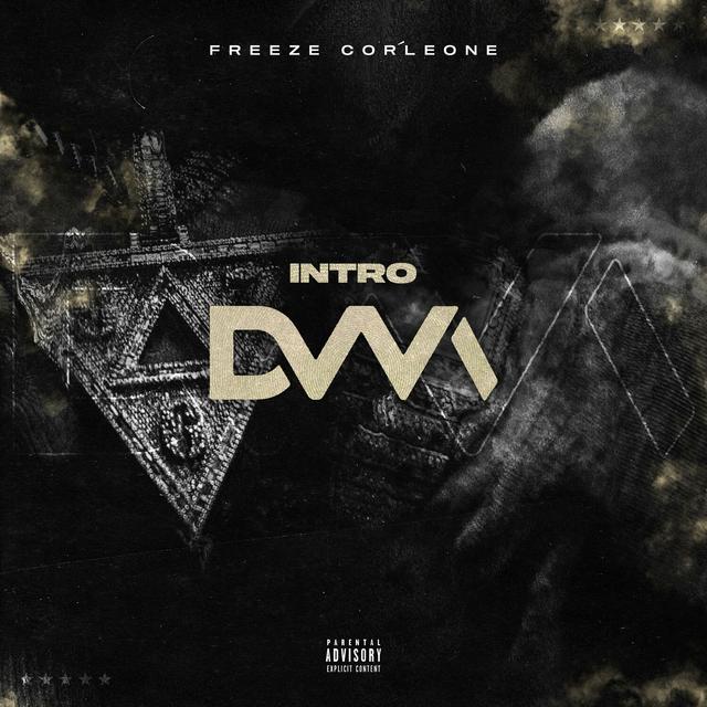 Album cover art for Intro DVM