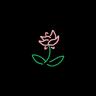 Des roses et des larmes