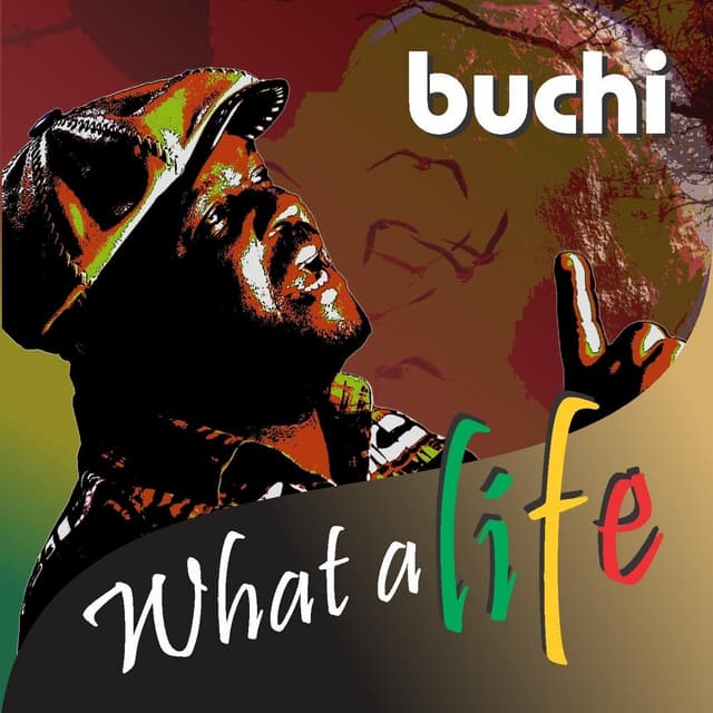 Album cover art for What a Life!