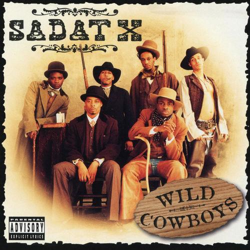 Album cover art for Wild Cowboys