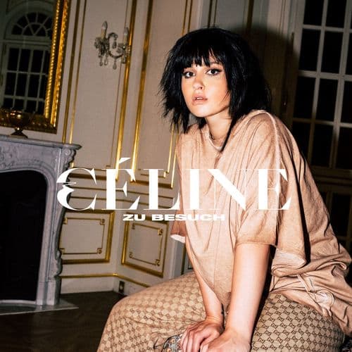 Album cover art for Zu Besuch