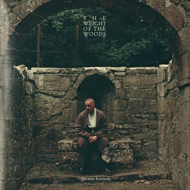Album cover art for The Weight of the Woods