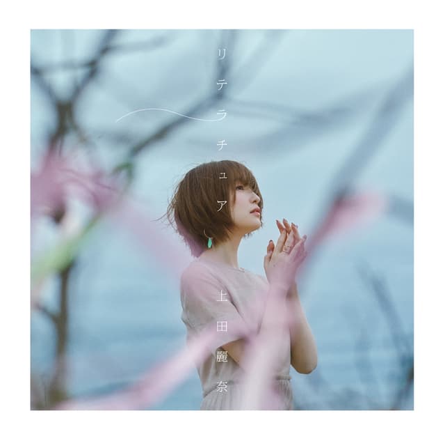 Album cover art for リテラチュア