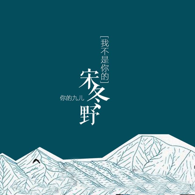 Album cover art for 我不是你的宋冬野