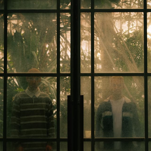 Album cover art for Willows