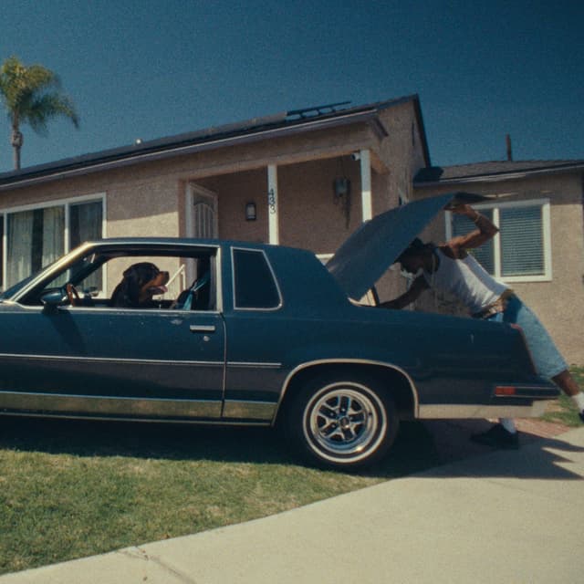 Album cover art for DOGS IN THE FRONT YARD