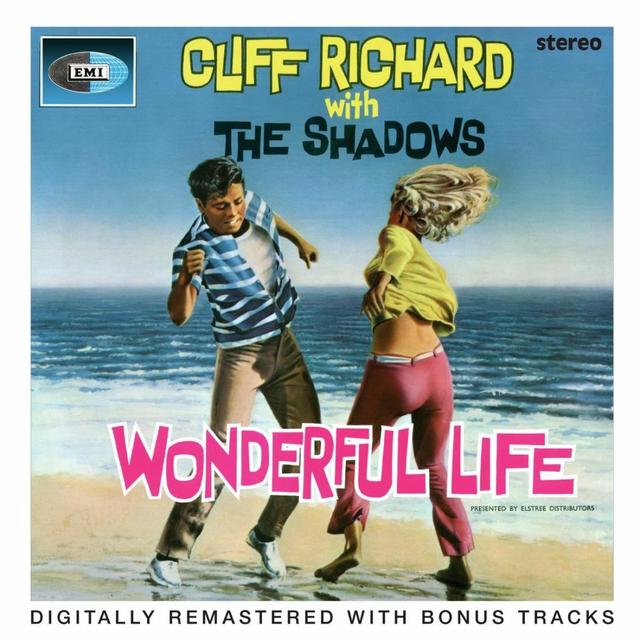 Album cover art for Wonderful Life