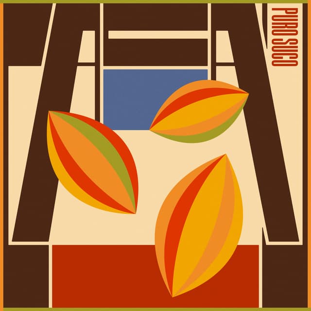 Album cover art for Cacau
