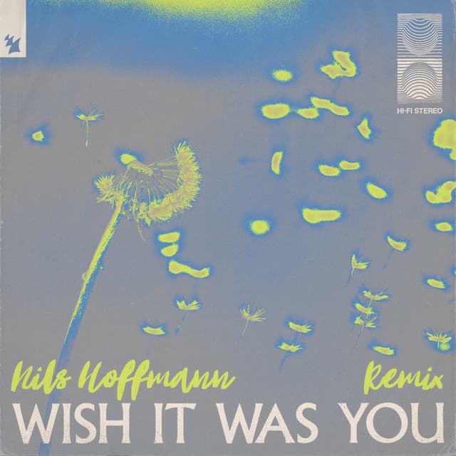 Album cover art for Wish It Was You (Nils Hoffmann Remix)