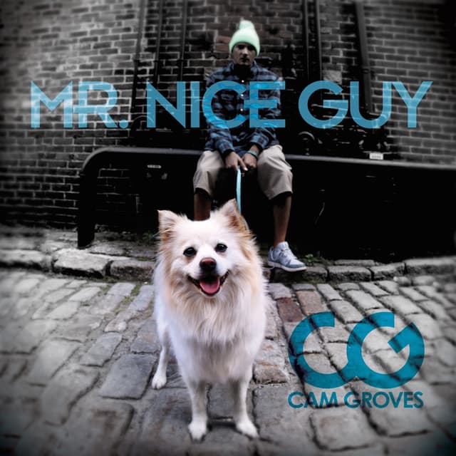 Album cover art for Mr. Nice Guy