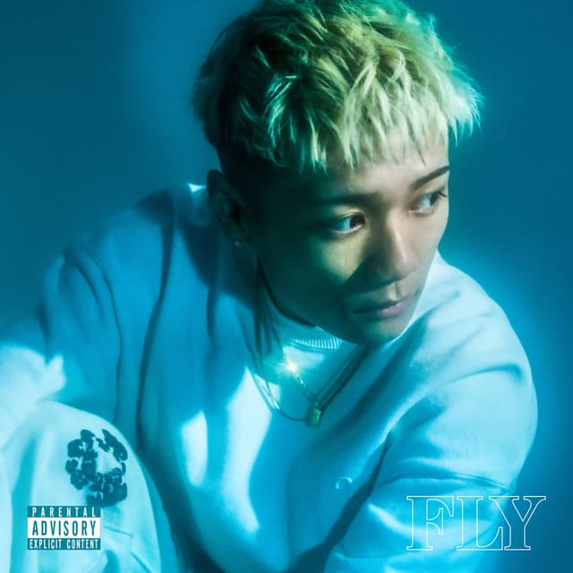 Album cover art for FLY