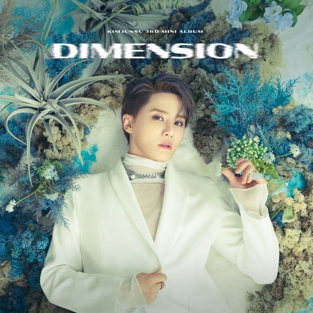 Album cover art for Dimension