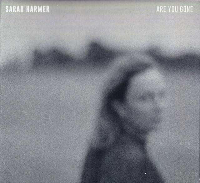 Album cover art for Are You Gone