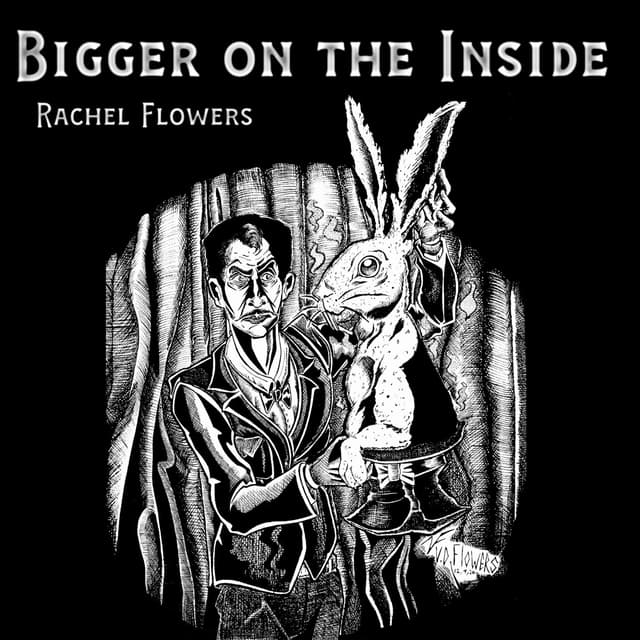 Album cover art for Bigger on the Inside