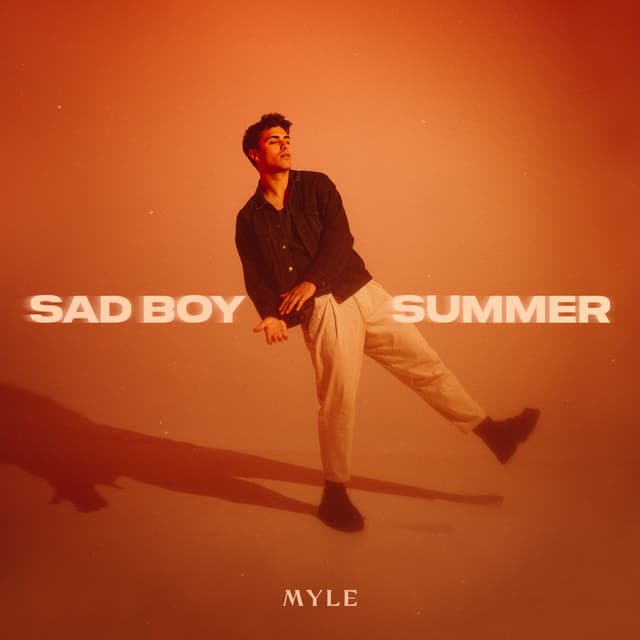 Album cover art for Sad Boy Summer