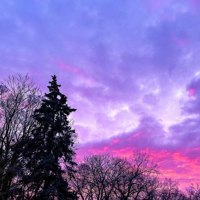 Album cover art for W