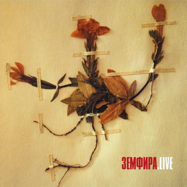 Album cover art for ЗЕМФИРА.LIVE