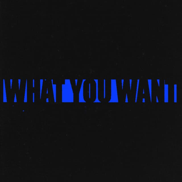Album cover art for What You Want