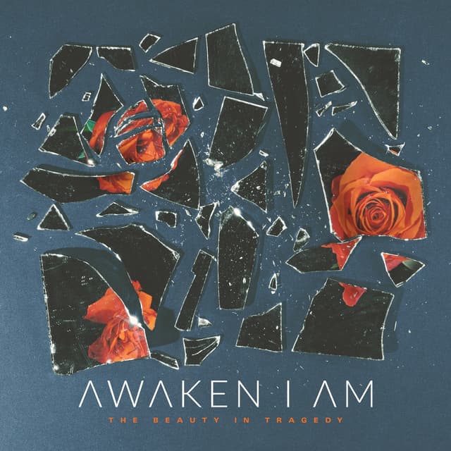 Album cover art for The Beauty in Tragedy
