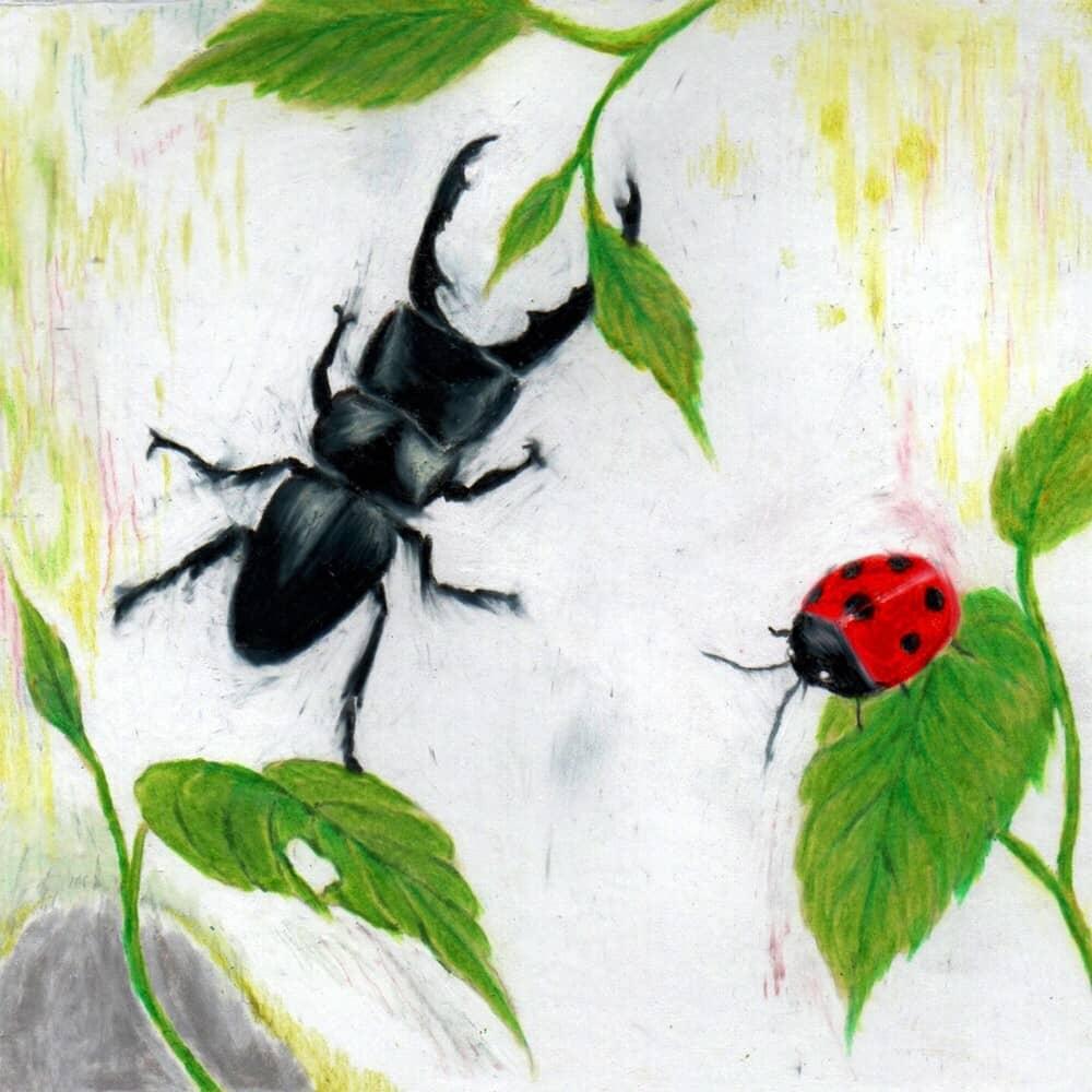 Lyric cover art