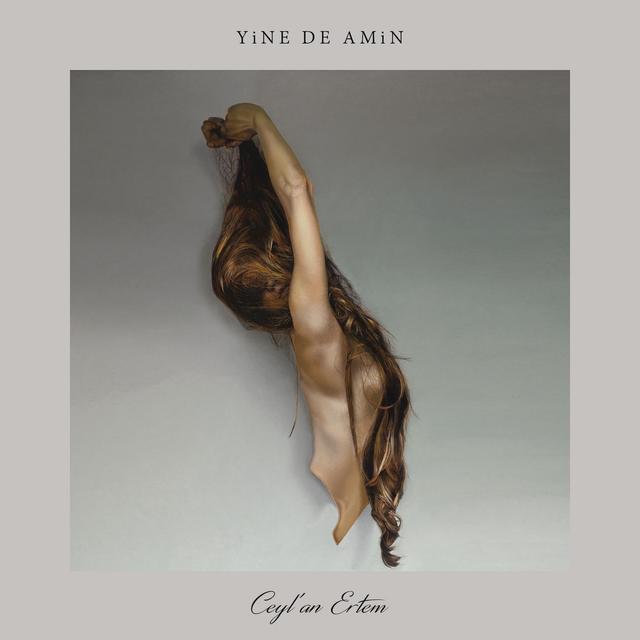 Album cover art for Yine De Amin