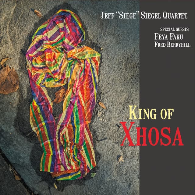 Album cover art for King Of Xhosa