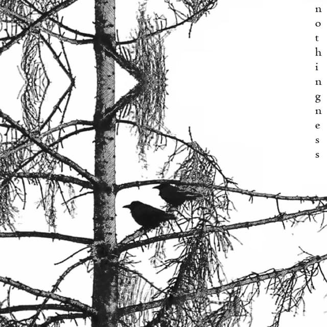 Album cover art for Nothingness