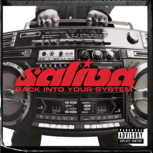 Album cover art for Back Into Your System