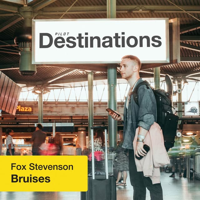 Album cover art for Bruises