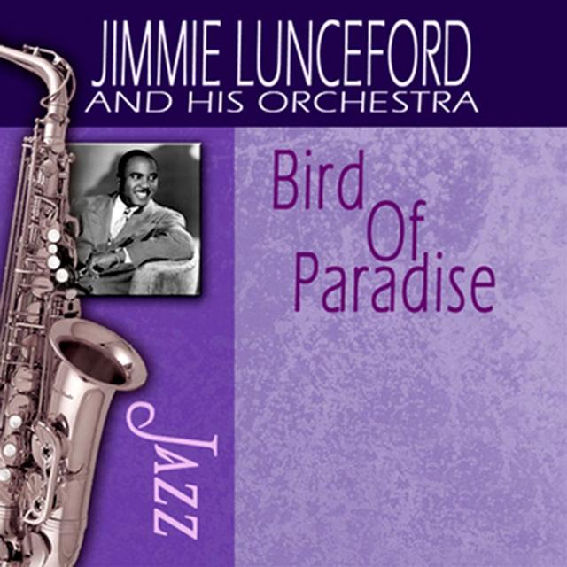 Album cover art for Bird Of Paradise