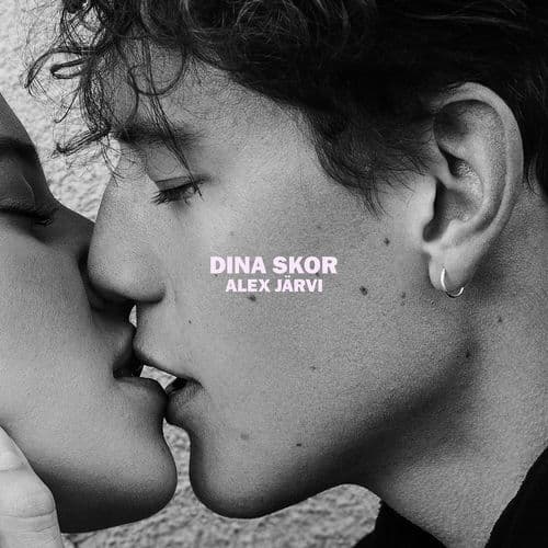 Album cover art for Dina skor