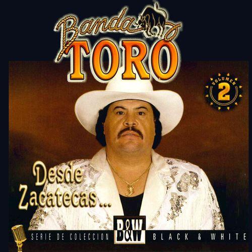 Album cover art for Desde Zacatecas, Vol. 2
