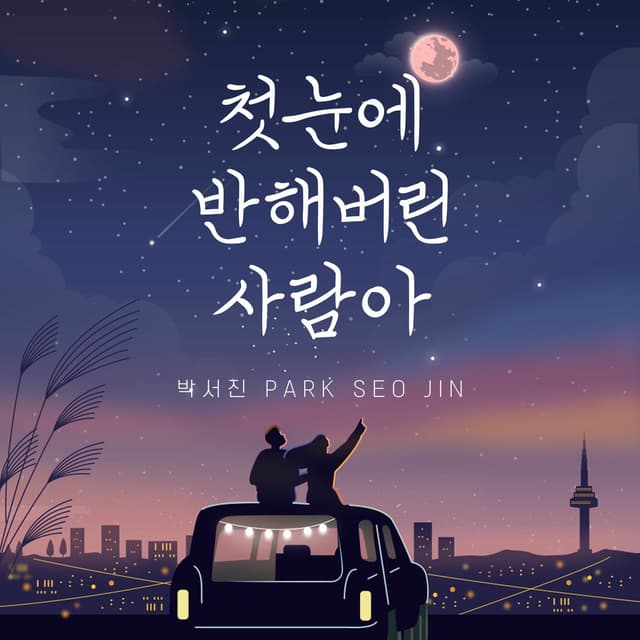 Album cover art for The One I Fell for at First Sight