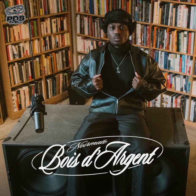 Album cover art for Bois d'argent - Single