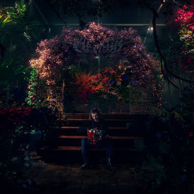 Album cover art for Florăria